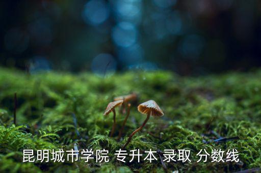 昆明城市學院 專升本 錄取 分數(shù)線