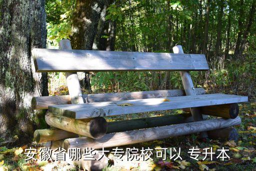 安徽省哪些大專院校可以 專升本