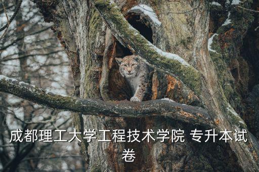成考專升本試題語文作文