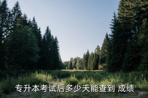 美術(shù)專升本 考什么時(shí)候出成績(jī),美術(shù)生專升本難嗎通過(guò)率多少