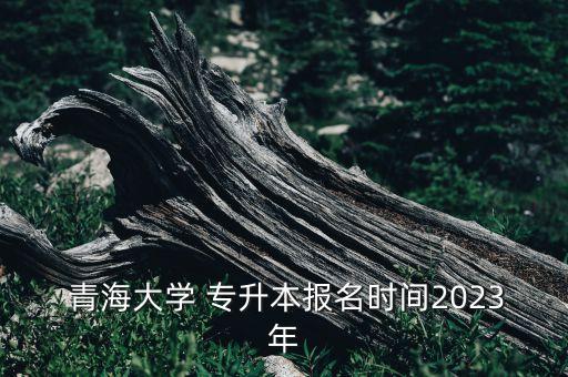  青海大學 專升本報名時間2023年