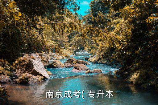  南京成考( 專(zhuān)升本
