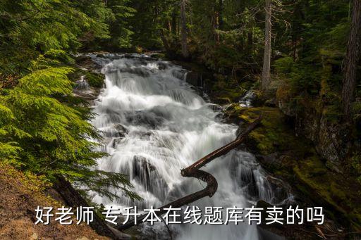 會計(jì)專升本賣答案