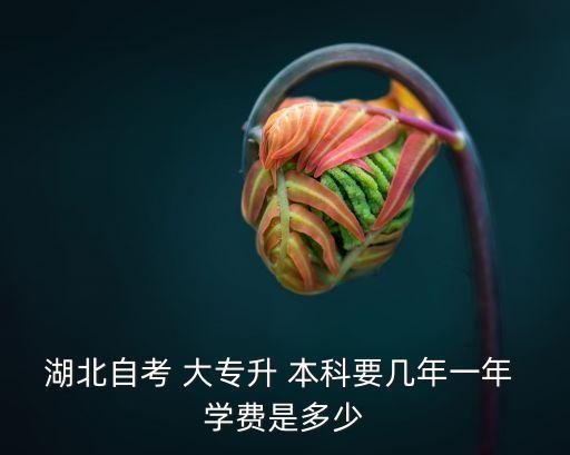 湖北自考 大專升 本科要幾年一年 學費是多少