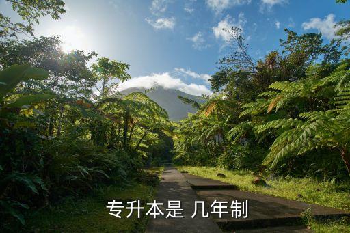專(zhuān)升本的本科是讀幾年畢業(yè)
