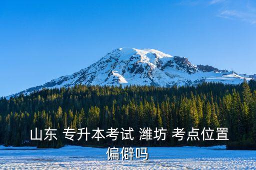  山東 專(zhuān)升本考試 濰坊 考點(diǎn)位置偏僻嗎