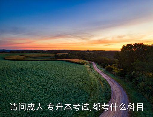 請(qǐng)問成人 專升本考試,都考什么科目
