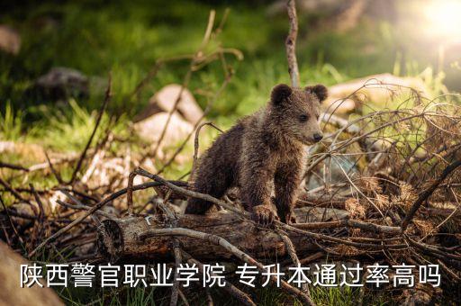 陜西警官職業(yè)學(xué)院 專升本通過(guò)率高嗎