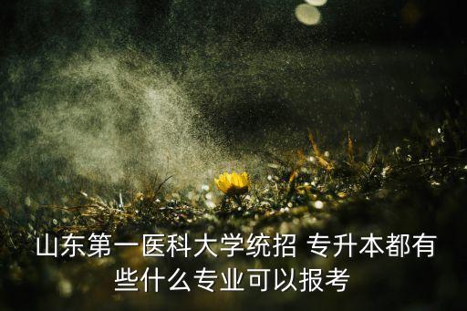 山東醫(yī)專醫(yī)學影像技術專升本,2022年山東專升本醫(yī)學影像技術