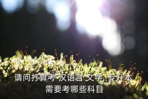 請(qǐng)問打算考 漢語言 文學(xué), 專升本需要考哪些科目