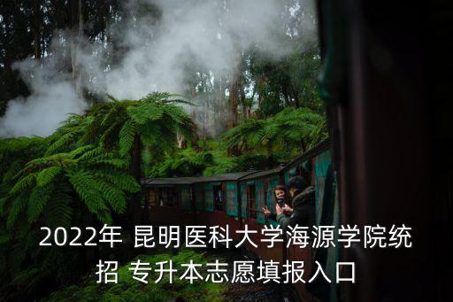 2022年 昆明醫(yī)科大學(xué)海源學(xué)院統(tǒng)招 專升本志愿填報入口