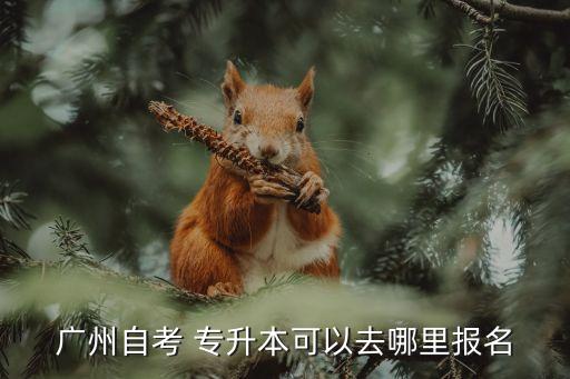 廣州自考 專升本可以去哪里報(bào)名
