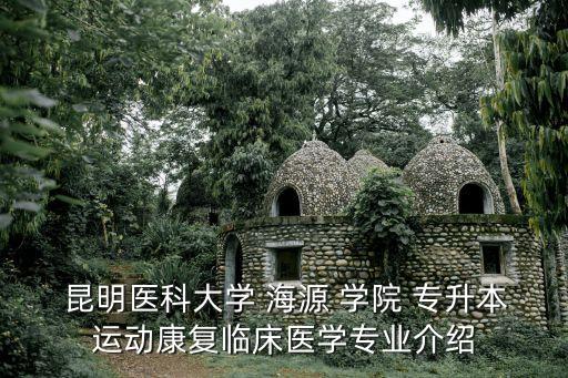 昆明醫(yī)科大學(xué) 海源 學(xué)院 專升本運(yùn)動(dòng)康復(fù)臨床醫(yī)學(xué)專業(yè)介紹