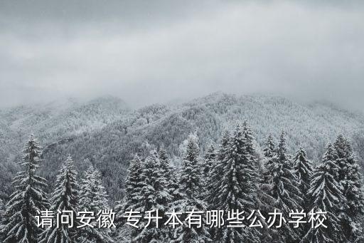 請問安徽 專升本有哪些公辦學(xué)校