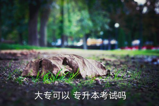  大?？梢?專升本考試嗎