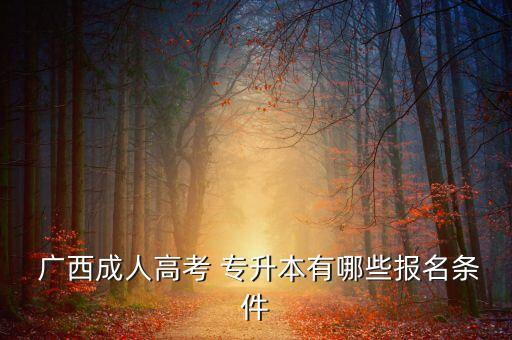  廣西成人高考 專升本有哪些報名條件