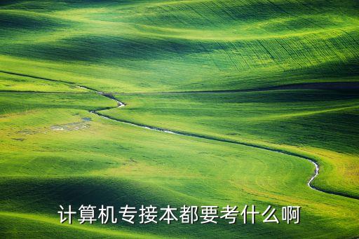 計算機專接本都要考什么啊