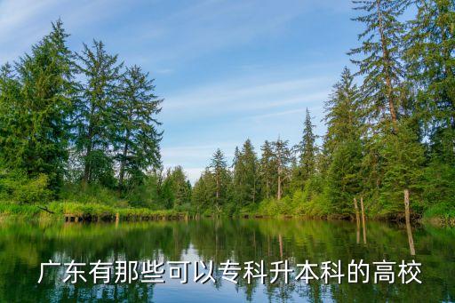  廣東有那些可以專科升本科的高校