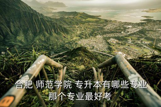  合肥 師范學(xué)院 專升本有哪些專業(yè)那個專業(yè)最好考