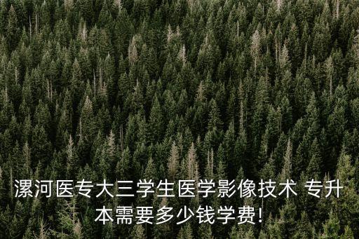 漯河醫(yī)專大三學(xué)生醫(yī)學(xué)影像技術(shù) 專升本需要多少錢學(xué)費!