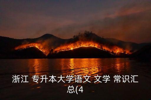 浙江 專升本大學(xué)語文 文學(xué) 常識(shí)匯總(4