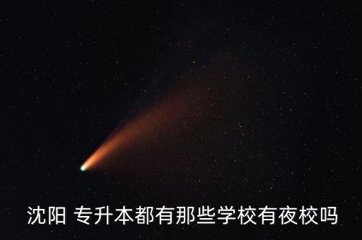 沈陽(yáng)大學(xué)專(zhuān)升本輔導(dǎo)班