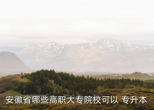 安徽省哪些高職大專院?？梢?專升本