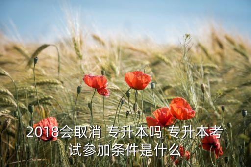 2018會(huì)取消 專升本嗎 專升本考試參加條件是什么