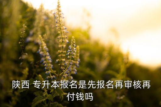  陜西 專升本報(bào)名是先報(bào)名再審核再付錢嗎