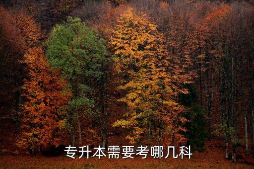 專升本需要考哪幾科