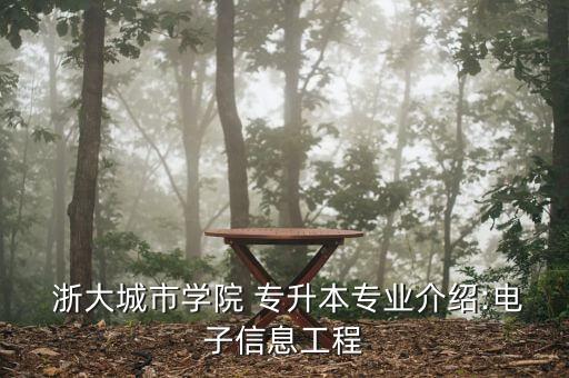  浙大城市學(xué)院 專(zhuān)升本專(zhuān)業(yè)介紹:電子信息工程