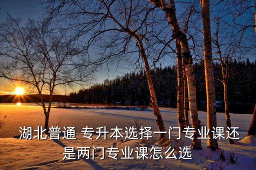  湖北普通 專(zhuān)升本選擇一門(mén)專(zhuān)業(yè)課還是兩門(mén)專(zhuān)業(yè)課怎么選
