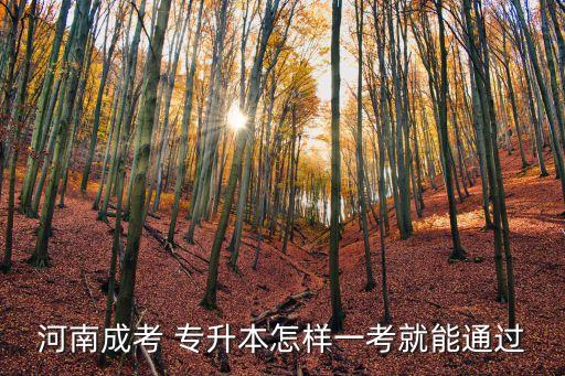 河南成考 專升本怎樣一考就能通過(guò)