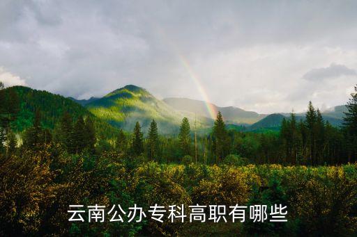云南公辦專科高職有哪些