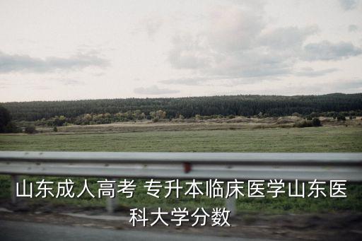山東成人高考 專升本臨床醫(yī)學(xué)山東醫(yī)科大學(xué)分?jǐn)?shù)
