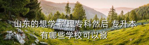  山東的想學(xué) 護理?？迫缓?專升本有哪些學(xué)?？梢詧? class=