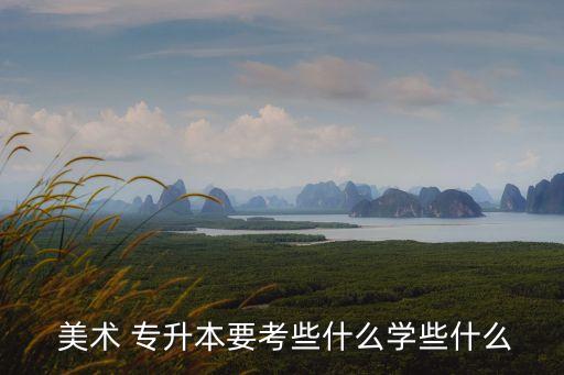  美術(shù) 專升本要考些什么學(xué)些什么