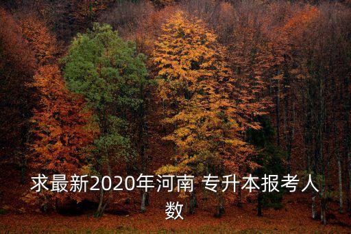 求最新2020年河南 專升本報考人數(shù)