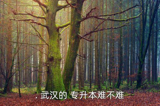 . 武漢的 專升本難不難
