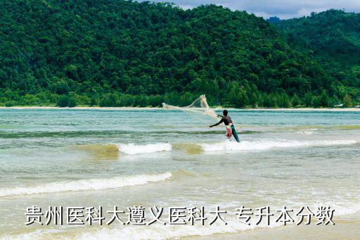 醫(yī)學(xué)專(zhuān)升本分?jǐn)?shù)線?V?|