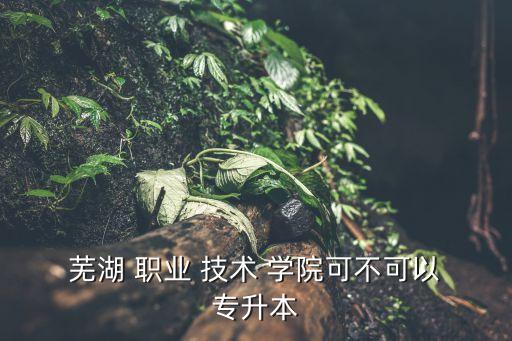  蕪湖 職業(yè) 技術(shù) 學(xué)院可不可以 專升本