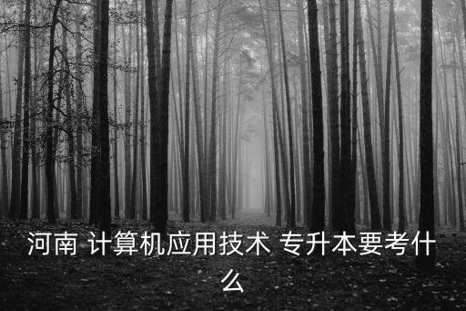 河南 計(jì)算機(jī)應(yīng)用技術(shù) 專升本要考什么