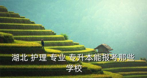 湖北 護理 專業(yè) 專升本能報考那些 學(xué)校