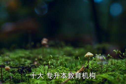 十大 專升本教育機構(gòu)