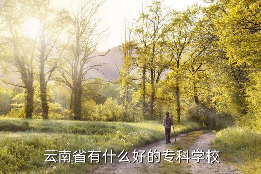  云南省有什么好的?？茖W(xué)校