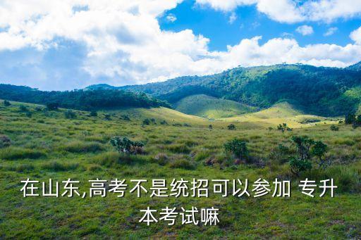 在山東,高考不是統(tǒng)招可以參加 專(zhuān)升本考試嘛