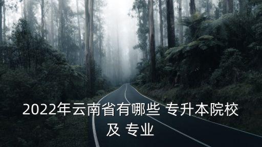 2022年云南省有哪些 專(zhuān)升本院校及 專(zhuān)業(yè)