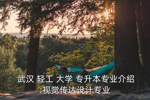  武漢 輕工 大學(xué) 專升本專業(yè)介紹:視覺(jué)傳達(dá)設(shè)計(jì)專業(yè)