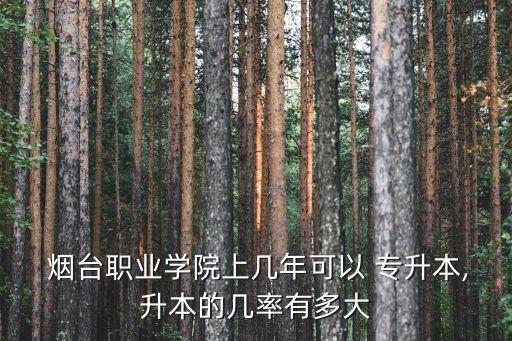  煙臺(tái)職業(yè)學(xué)院上幾年可以 專(zhuān)升本,升本的幾率有多大