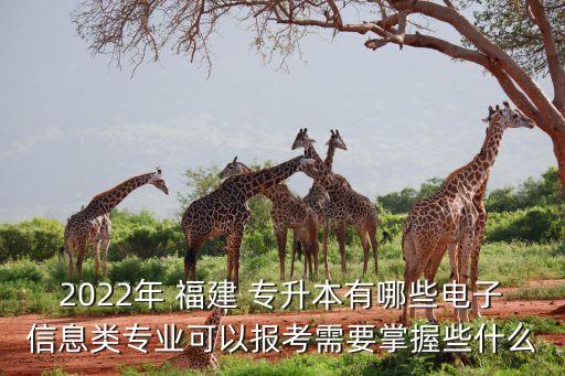 2022年 福建 專升本有哪些電子信息類專業(yè)可以報考需要掌握些什么